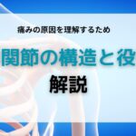 肩関節の構造と役割