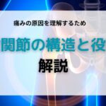 股関節の構造