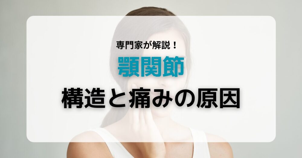 顎関節の構造