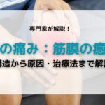 膝痛：筋膜の癒着