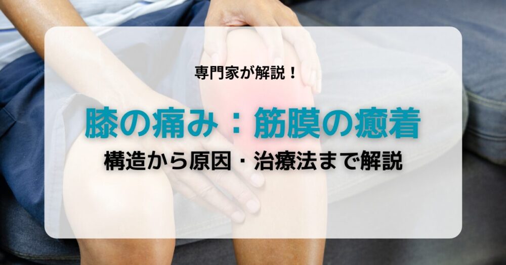 膝痛:筋膜の癒着