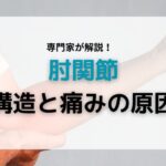 肘関節構造