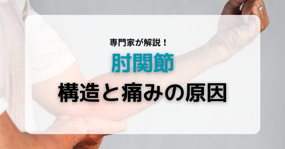 肘関節構造