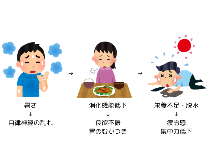 夏バテ図解